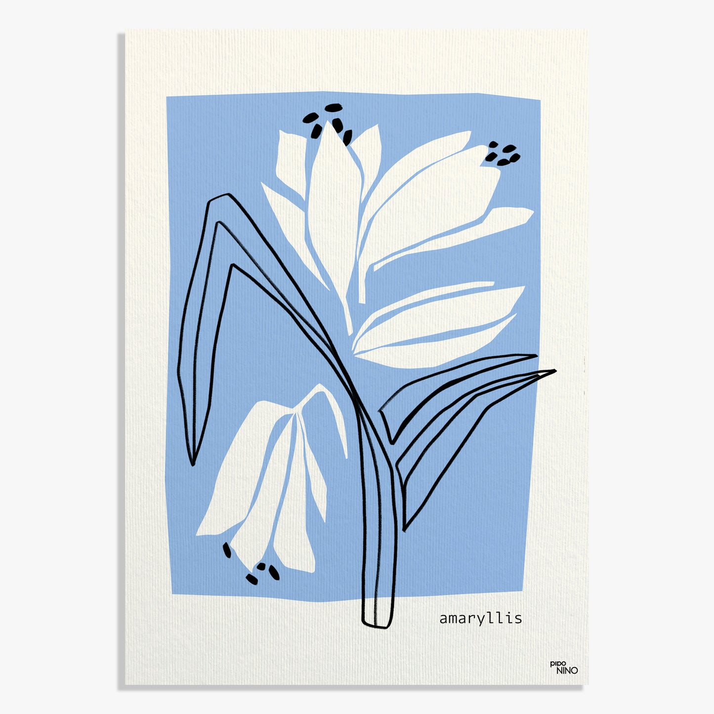 Affiche fleurs bleu AMARYLLIS