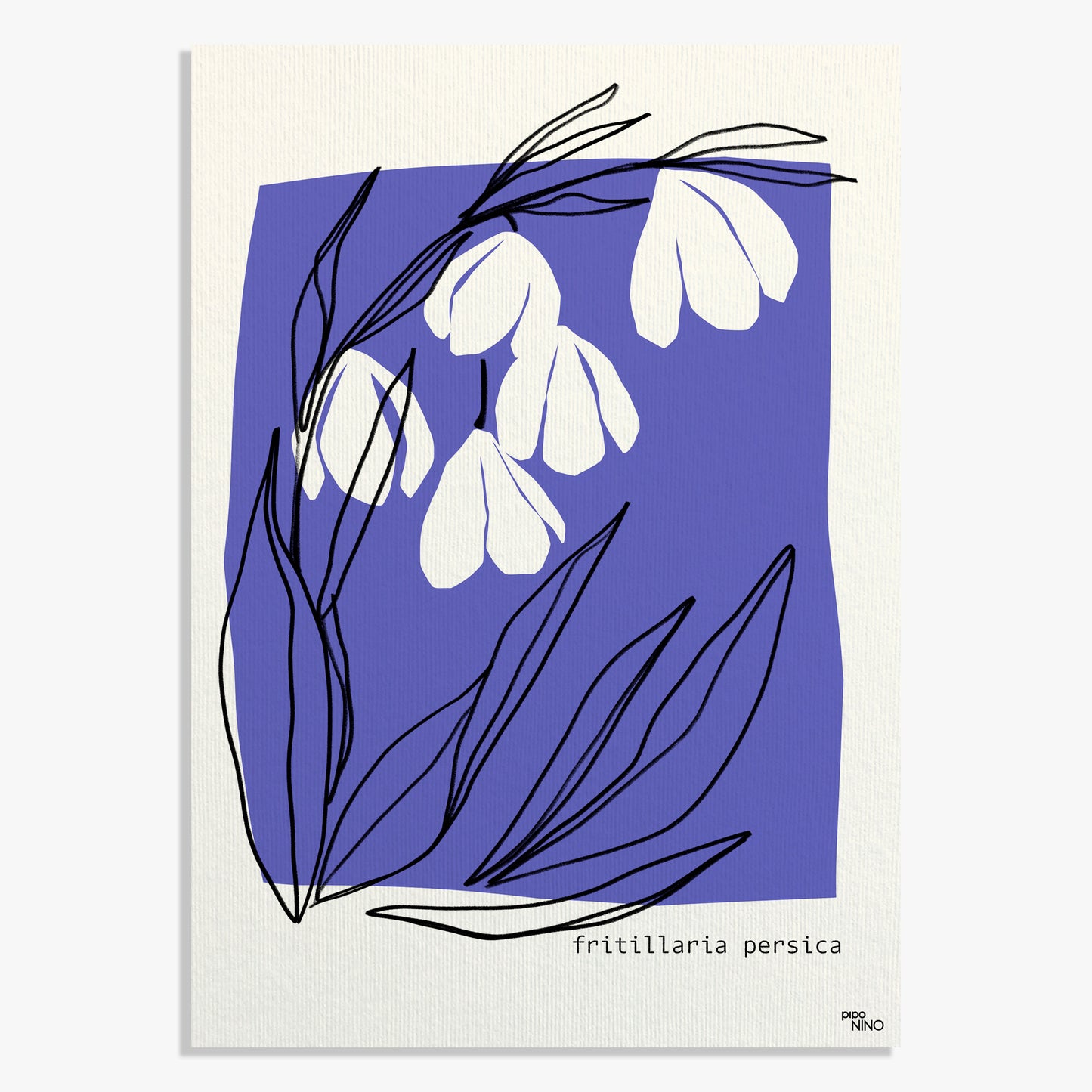 Affiche fleurs bleu PERSICA