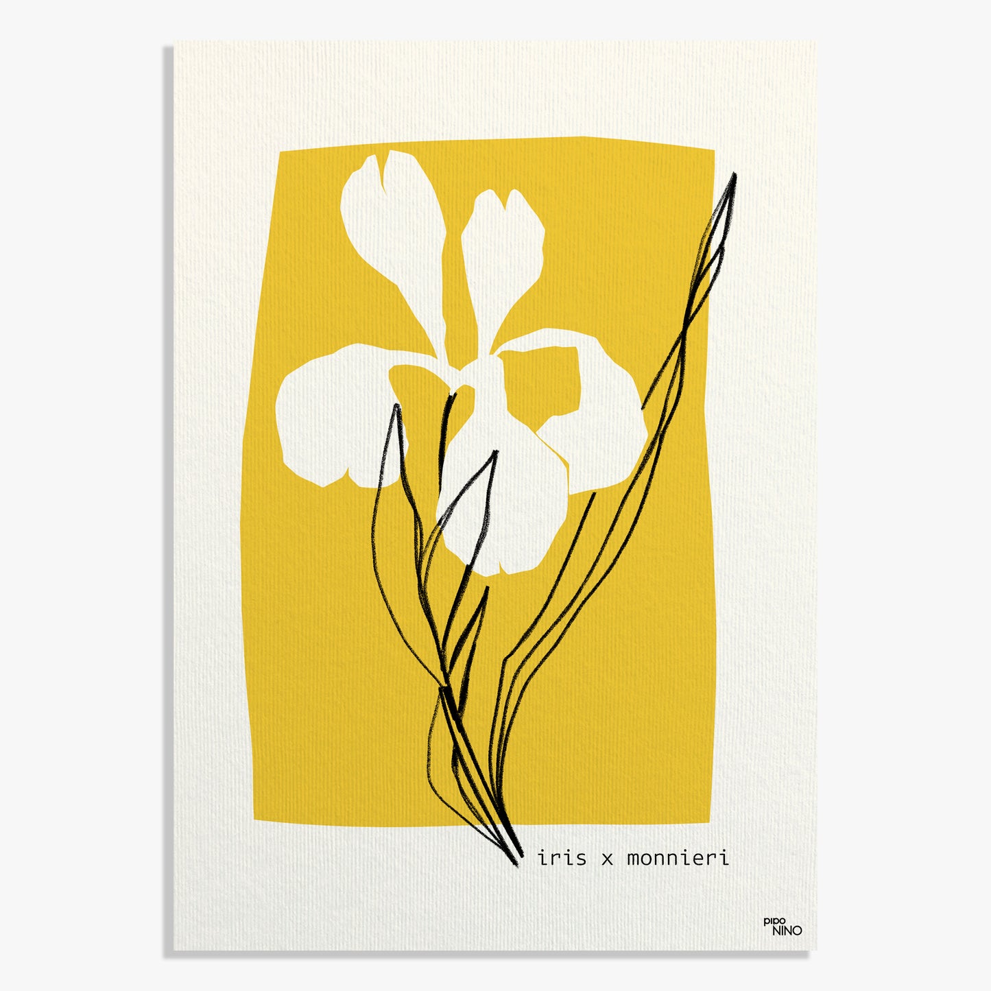 Affiche fleurs jaune IRIS