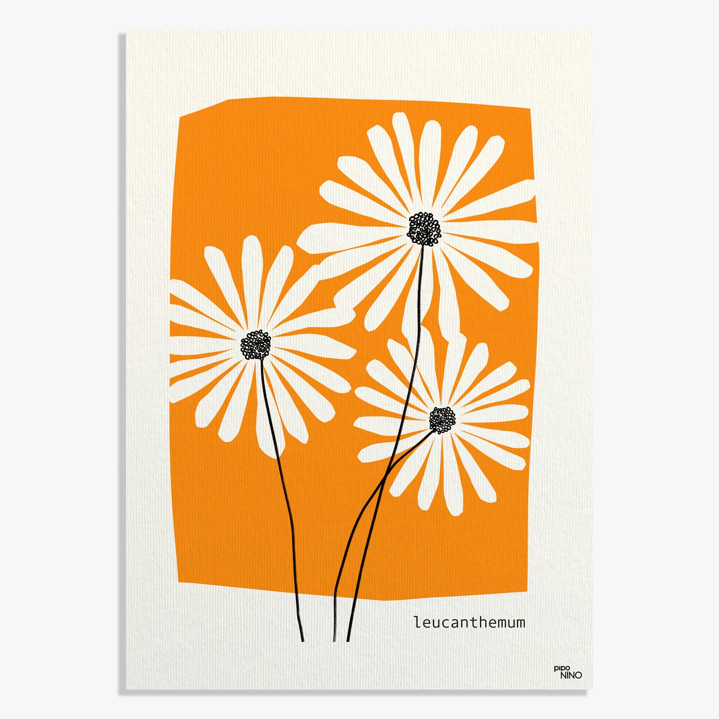 Affiche fleurs orange MARGUERITE