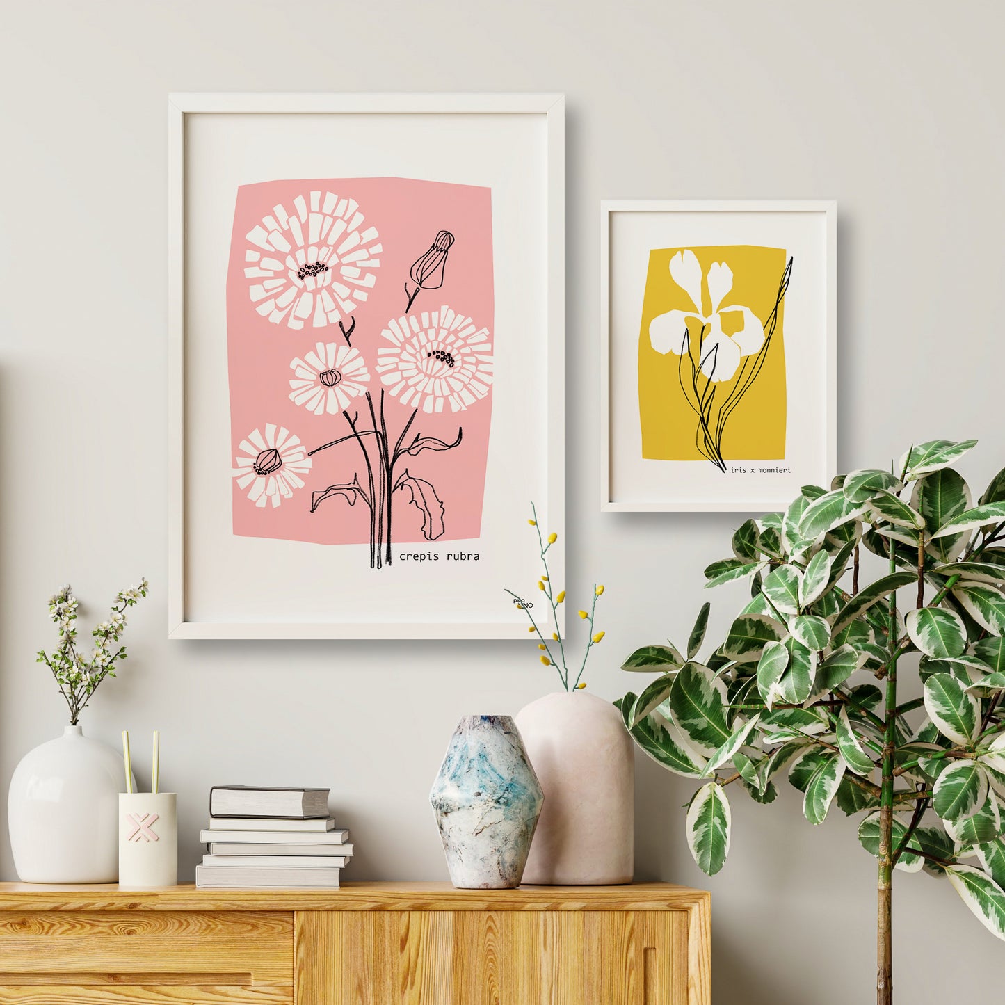 Affiche fleurs rose CREPIS