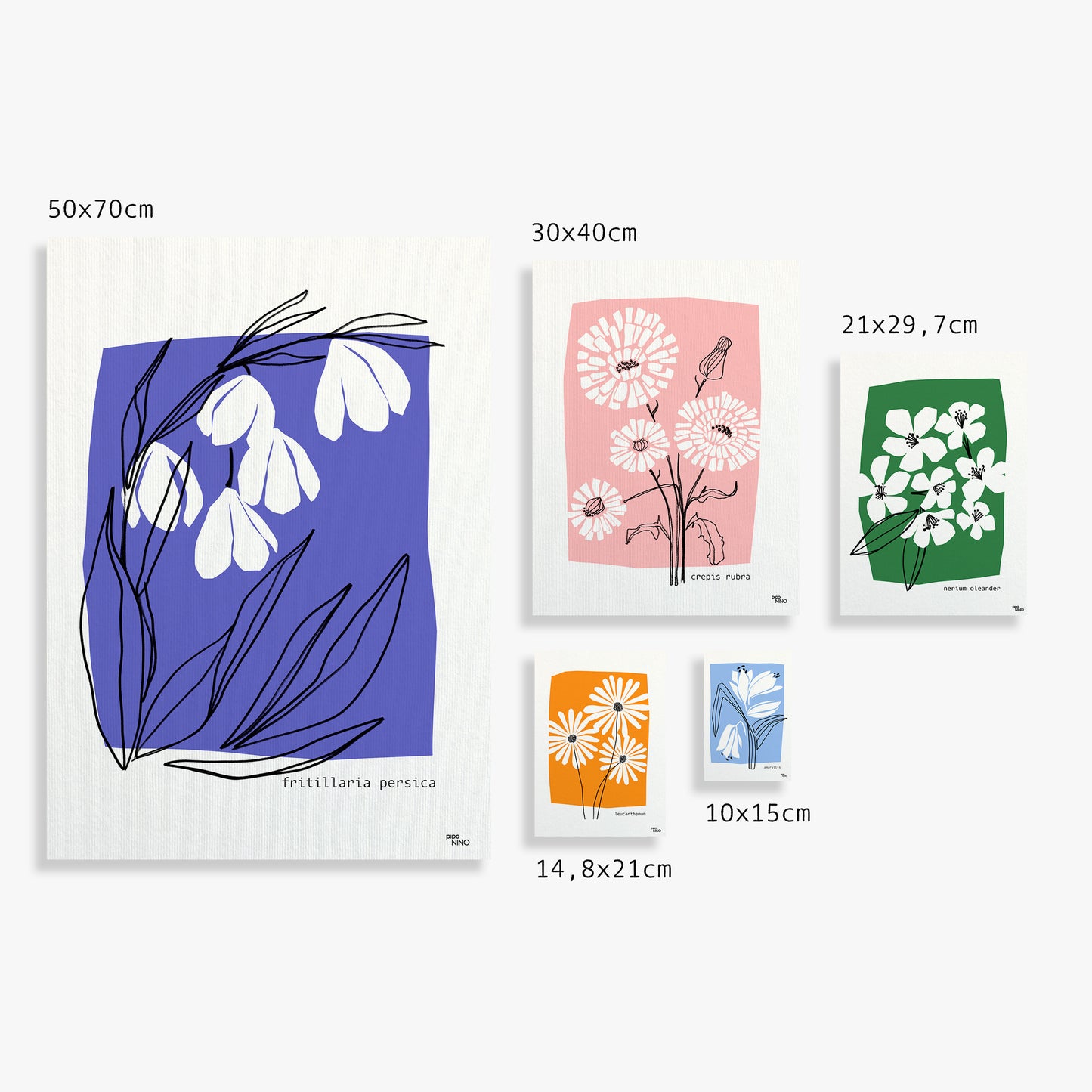 Affiche fleurs bleu AMARYLLIS